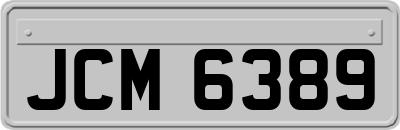 JCM6389