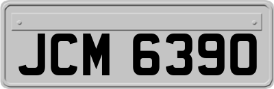 JCM6390