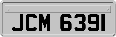 JCM6391