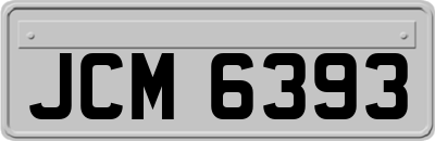 JCM6393
