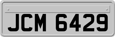 JCM6429
