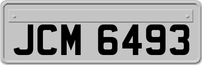 JCM6493