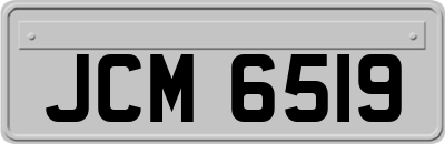 JCM6519