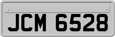 JCM6528