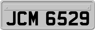 JCM6529