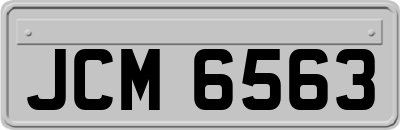 JCM6563