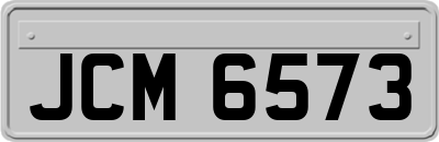 JCM6573