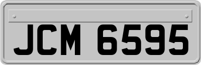 JCM6595