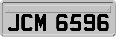 JCM6596