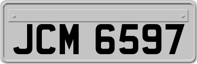 JCM6597