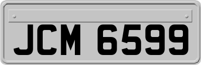 JCM6599