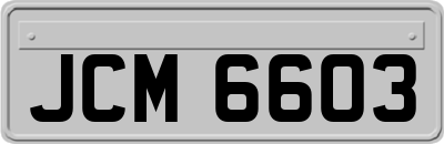 JCM6603