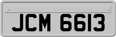 JCM6613