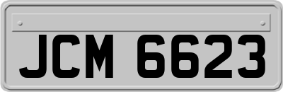 JCM6623
