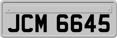 JCM6645