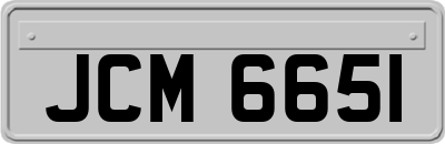 JCM6651