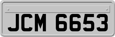 JCM6653