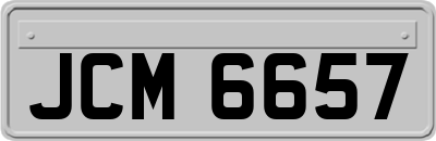 JCM6657