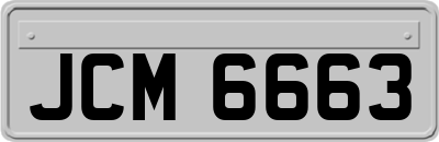JCM6663