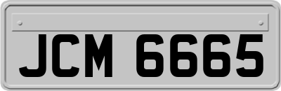 JCM6665