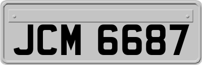 JCM6687