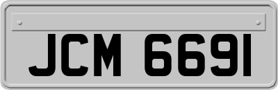 JCM6691