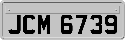 JCM6739