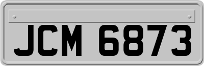 JCM6873