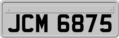JCM6875