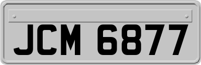JCM6877