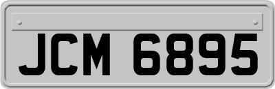 JCM6895