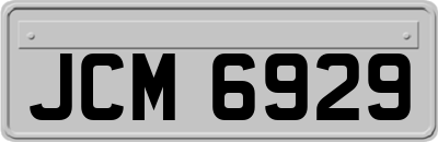 JCM6929
