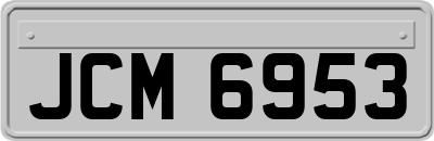 JCM6953