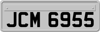 JCM6955