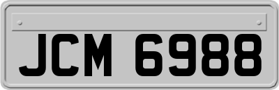 JCM6988