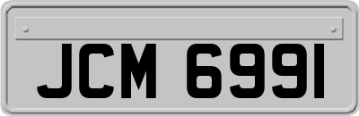 JCM6991