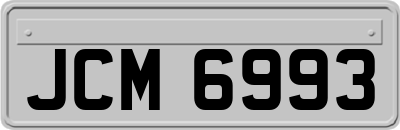 JCM6993