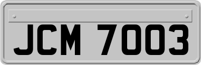 JCM7003