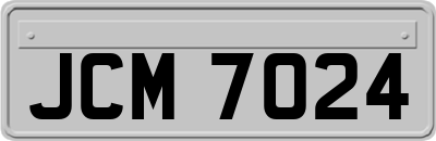 JCM7024