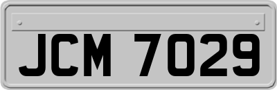 JCM7029