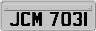 JCM7031