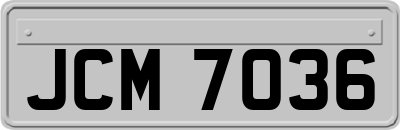 JCM7036