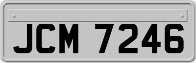 JCM7246
