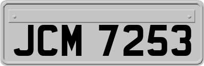 JCM7253