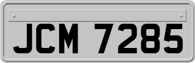 JCM7285
