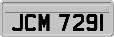 JCM7291