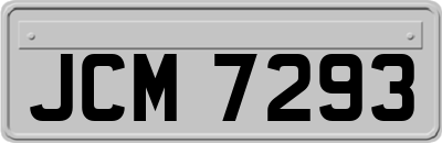 JCM7293