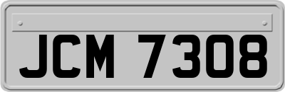 JCM7308