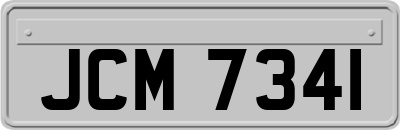 JCM7341