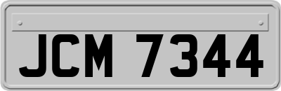 JCM7344